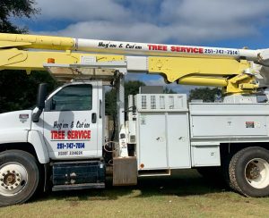 Tree Service