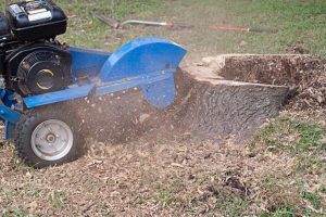 Tree Services